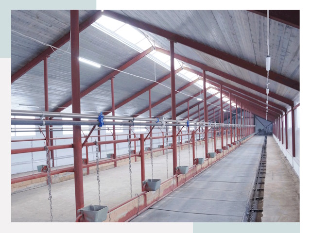 Строительство коровников в Губахе от 622 руб.