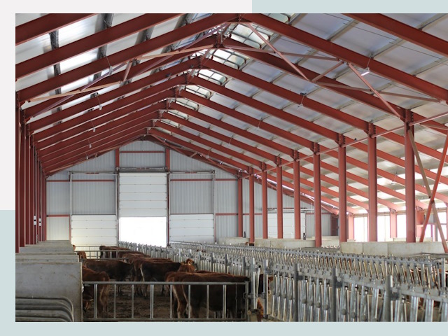 Строительство коровников в Губахе