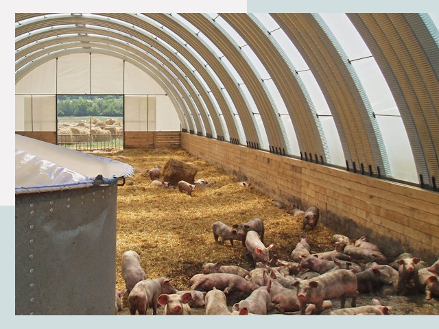 Строительство свинарников в Губахе