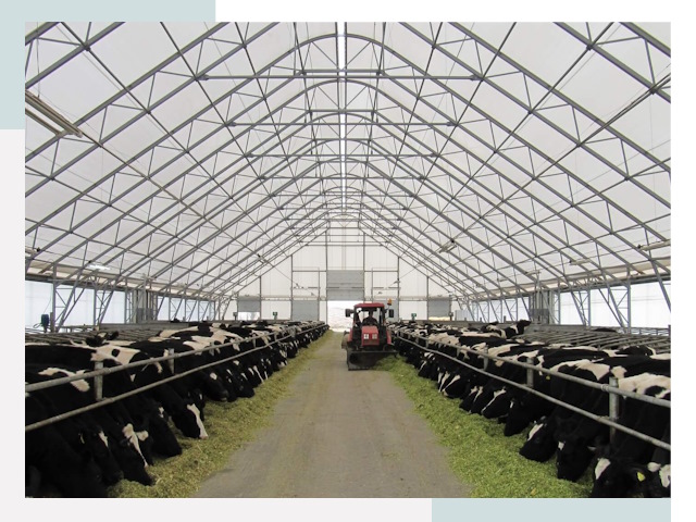 Тентовые коровники в Губахе от 622 руб. - Надежно и доступно